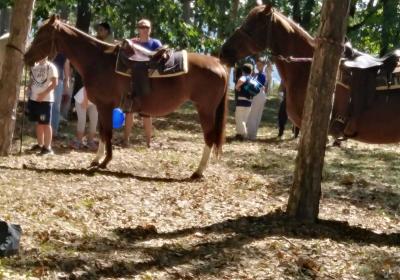 Viber Slika 2021 09 13 19 09 39 514