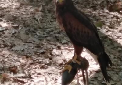 Viber Slika 2021 09 13 19 09 39 828