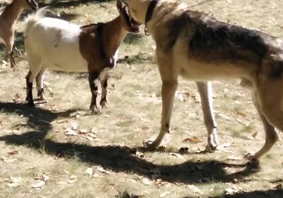 Viber Slika 2021 09 13 19 09 41 962