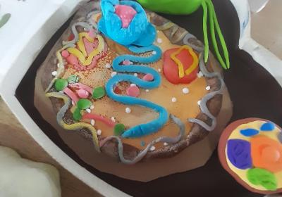 Viber Slika 2021 10 06 10 59 34 359