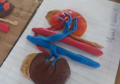 Viber Slika 2021 10 06 10 59 34 996