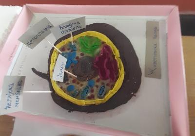 Viber Slika 2021 10 06 10 59 35 170