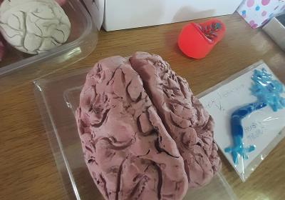 Viber Slika 2021 10 06 10 59 35 682