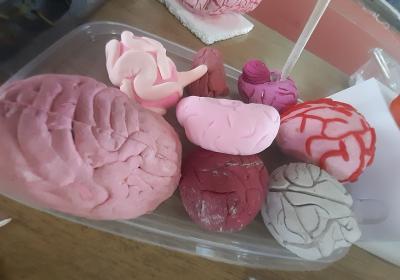 Viber Slika 2021 10 06 10 59 35 850