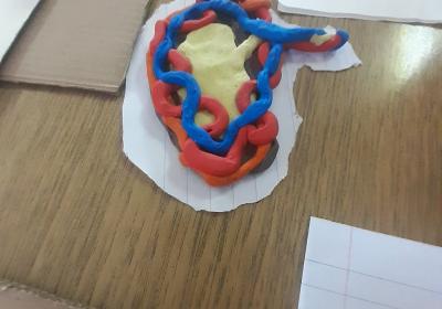 Viber Slika 2021 10 06 10 59 36 052