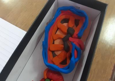 Viber Slika 2021 10 06 10 59 36 307