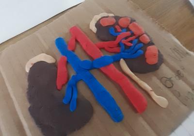 Дани биологије