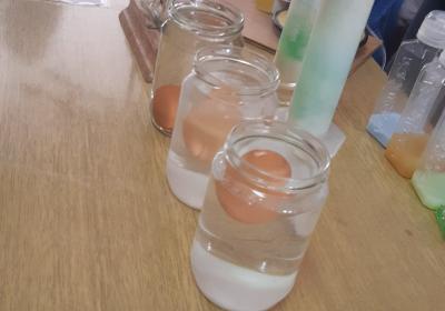 Viber Slika 2021 10 18 10 56 53 203