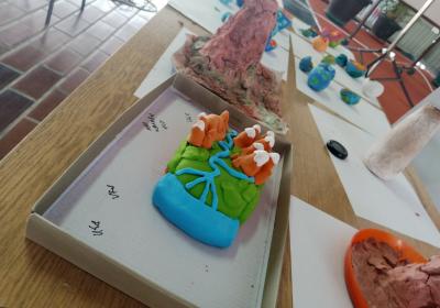 Viber Slika 2022 03 02 09 47 30 257