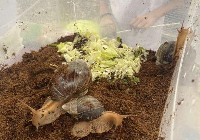 Viber Slika 2022 09 10 14 40 47 055 1