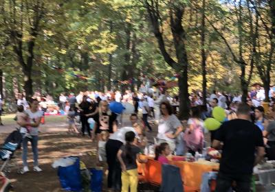 Viber Slika 2022 09 11 09 18 14 182