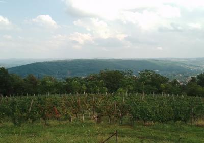 Viber Slika 2022 09 11 11 38 49 2661