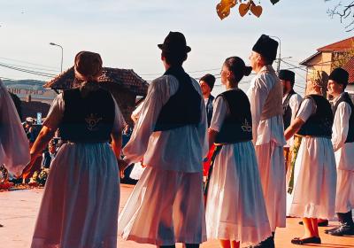 Опленачка берба 2022.